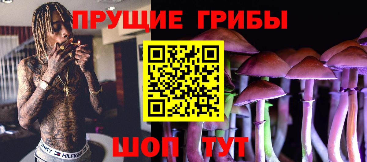 Псилоцибиновые грибы мицелий Кимры