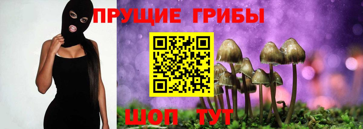 Галлюциногенные грибы ЛСД  Вход с VPN  Кимры 